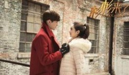 在线观看杉杉来了,甜蜜爱情与职场奋斗的完美融合